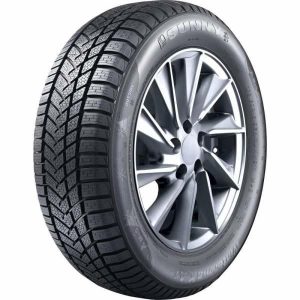 Sunny Nw211 Xl IARNĂ 245/35R19