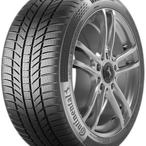 Continental Wintercontact Ts 870 P IARNĂ 205/45R17 88V